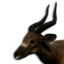 Antelope Vestige's icon