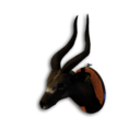 Antelope Trophy's icon