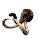 Columbian Mammoth Trophy's icon
