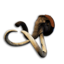 Columbian Mammoth Trophy's icon