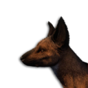 Hyena Vestige's icon