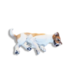 Laika Carcass's icon