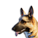 German Shepherd Vestige's icon