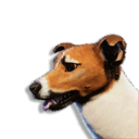 Tan Laika Vestige's icon