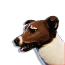 Brown Laika Vestige's icon