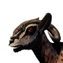 Chala Vestige's icon