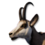 Chamois Vestige's icon