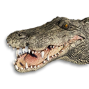 Crocodile Vestige's icon