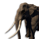 Elephant Vestige's icon