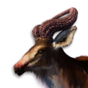 Equix Vestige's icon