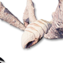 Lava Broodling Vestige's icon