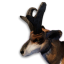Pronghorn Vestige's icon