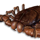 Scorpion Vestige's icon