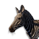 Zebra Vestige's icon