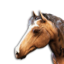 Brown Horse Vestige's icon