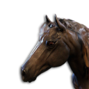 Black Horse Vestige's icon