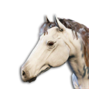 White Horse Vestige's icon