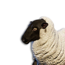 Sheep Vestige's icon