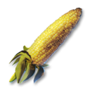 Charred Corn's icon