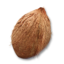 Mature Coconut's icon