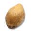 Ripe Coconut's icon