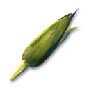 Corn's icon