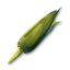 Corn's icon