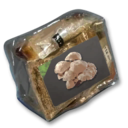 Mushroom Farming Packet's icon