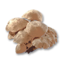 Mushroom's icon