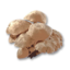Mushroom's icon