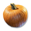 Pumpkin's icon