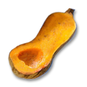 Roast Squash's icon
