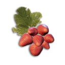 Strawberry's icon