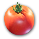 Tomato's icon