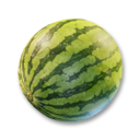 Watermelon's icon