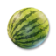 Watermelon's icon
