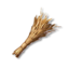 Wheat's icon