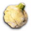 Potato's icon