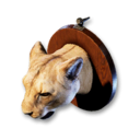Cougar Trophy's icon