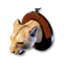 Cougar Trophy's icon