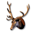 Deer Trophy's icon