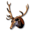 Deer Trophy's icon