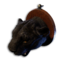 Black Jaguar Trophy's icon