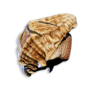 Decorative shell's icon