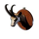 Chamois Trophy's icon