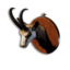 Chamois Trophy's icon