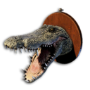 Crocodile Trophy's icon