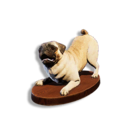 Pug Trophy's icon
