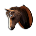 Brown Horse Trophy's icon
