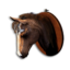 Brown Horse Trophy's icon